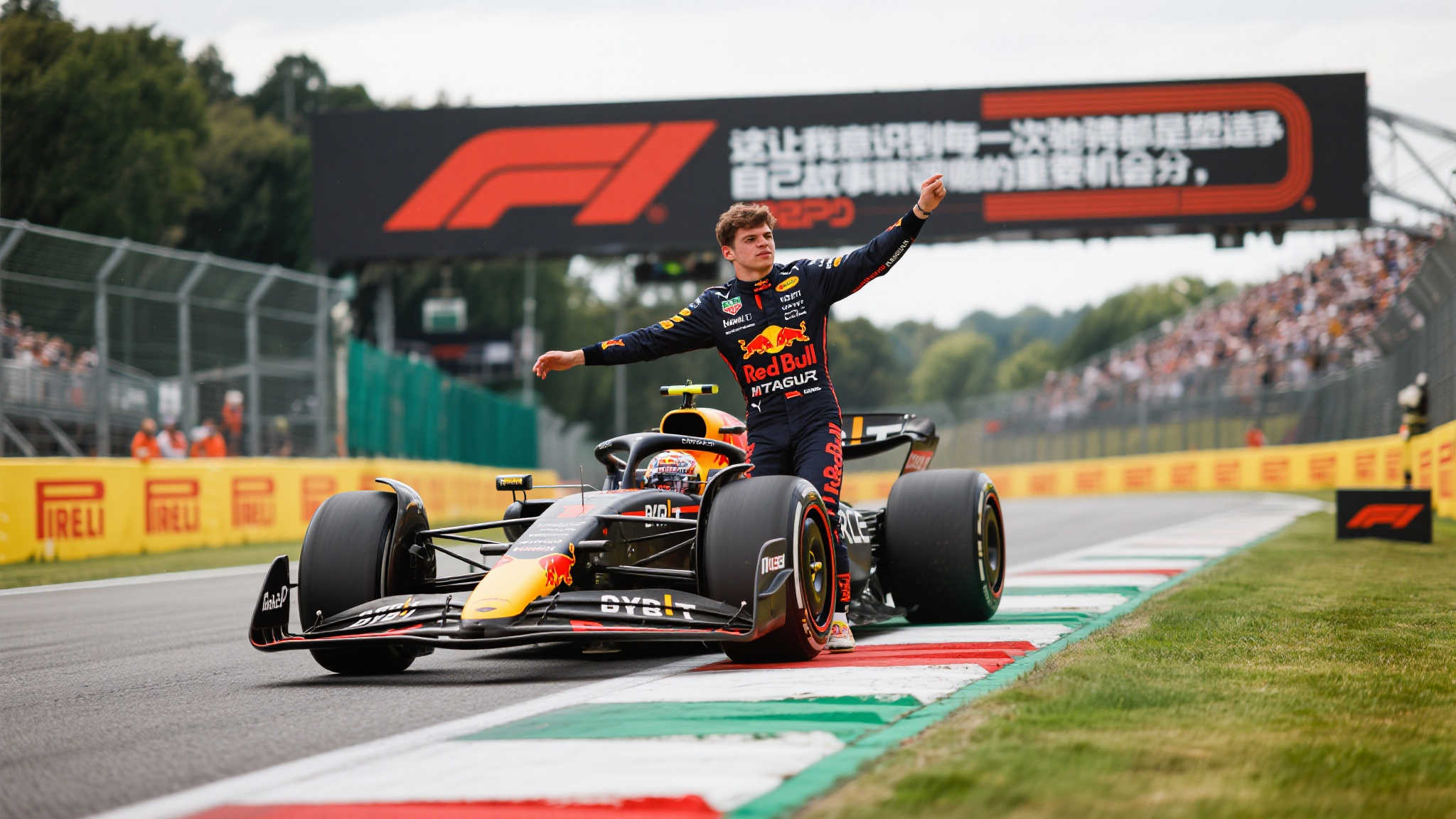 MK体育APP注册送彩金